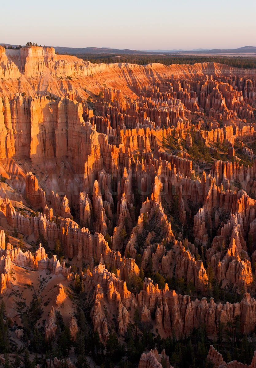 Sunrise at the Canyon