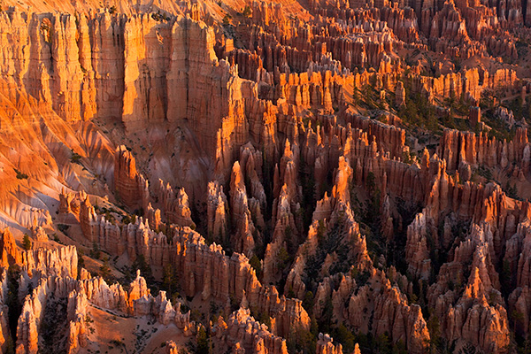 Bryce Canyon Sunrise