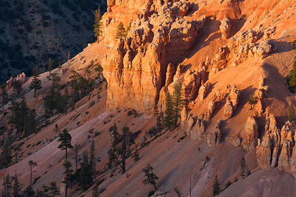Evening Cliffs