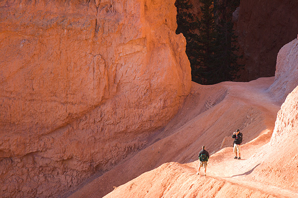 Canyon Hikers