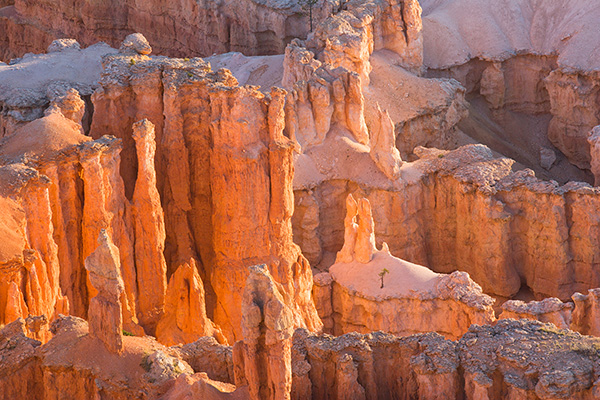 Canyon Glow