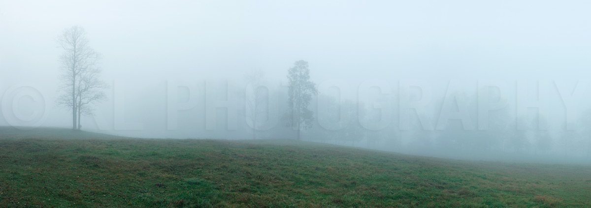 Foggy Valley Panorama