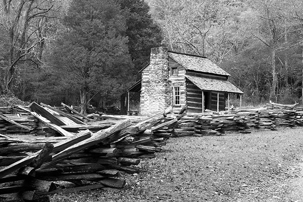 Cabin in the Woods