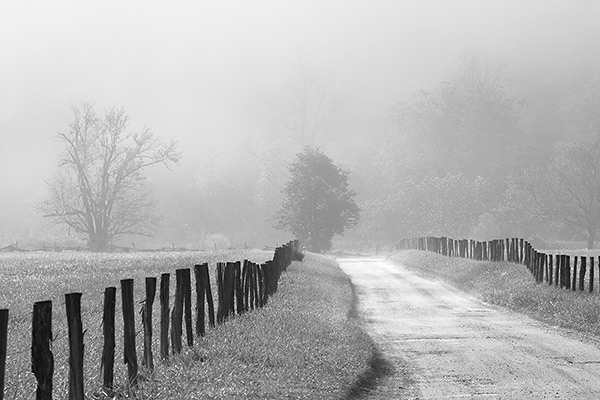 Cades Cove Fog