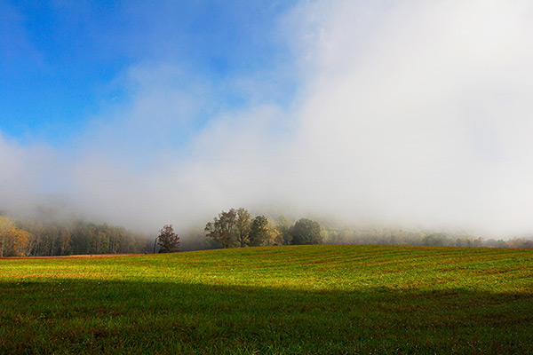 Rolling Fog