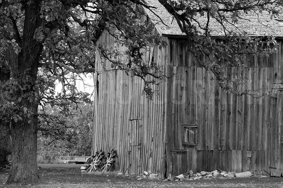 Old Barn and Wagon Wheels