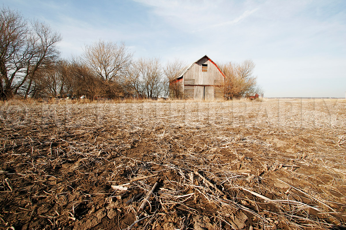 Harvested Field and Barn