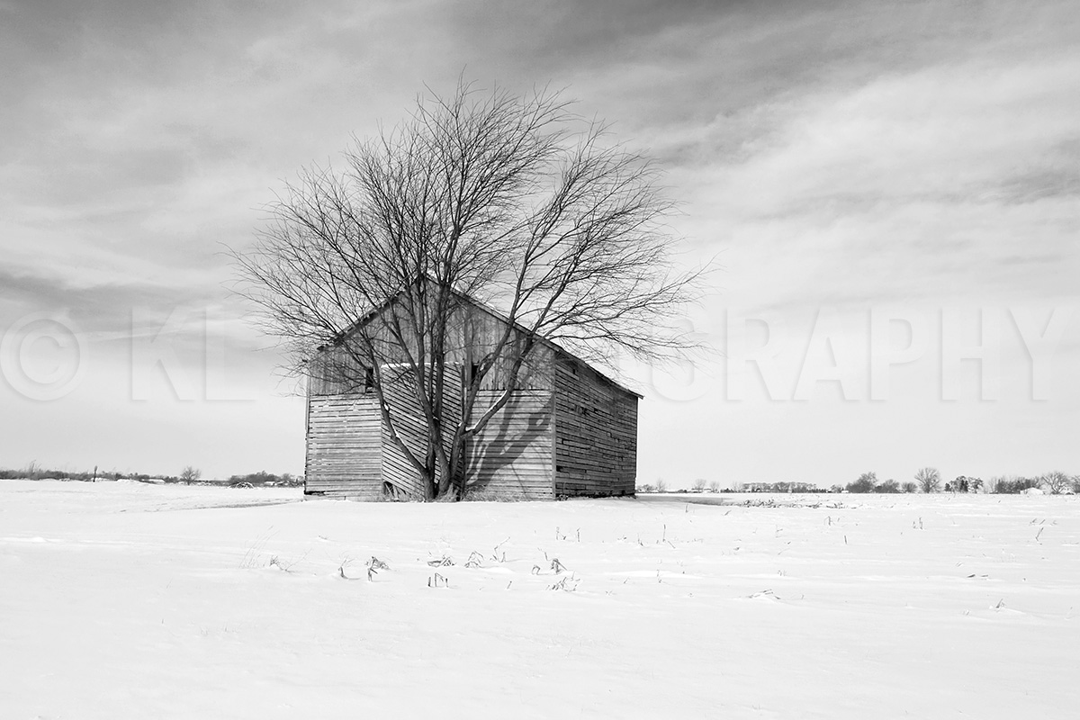 Snowy Winter Barn