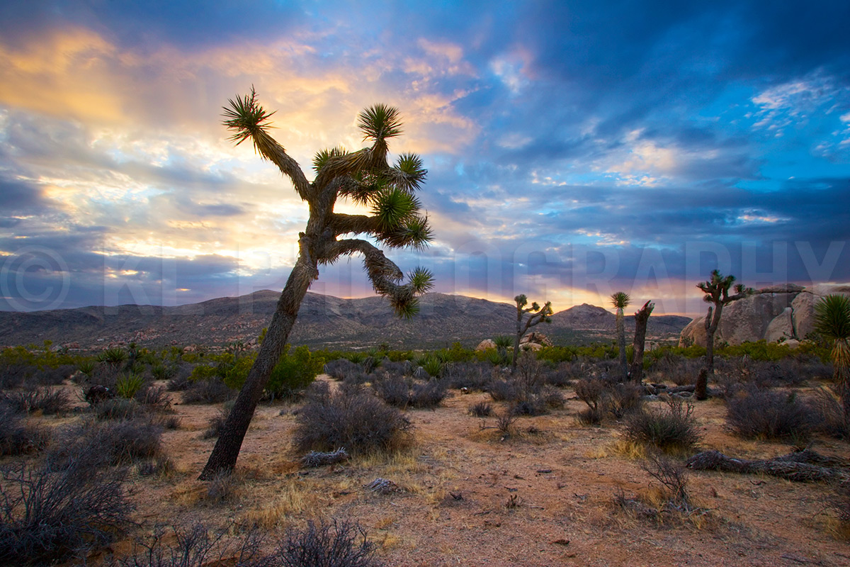 Cloudy Sunrise