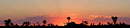 Joshua Sunrise Silhouette Panorama