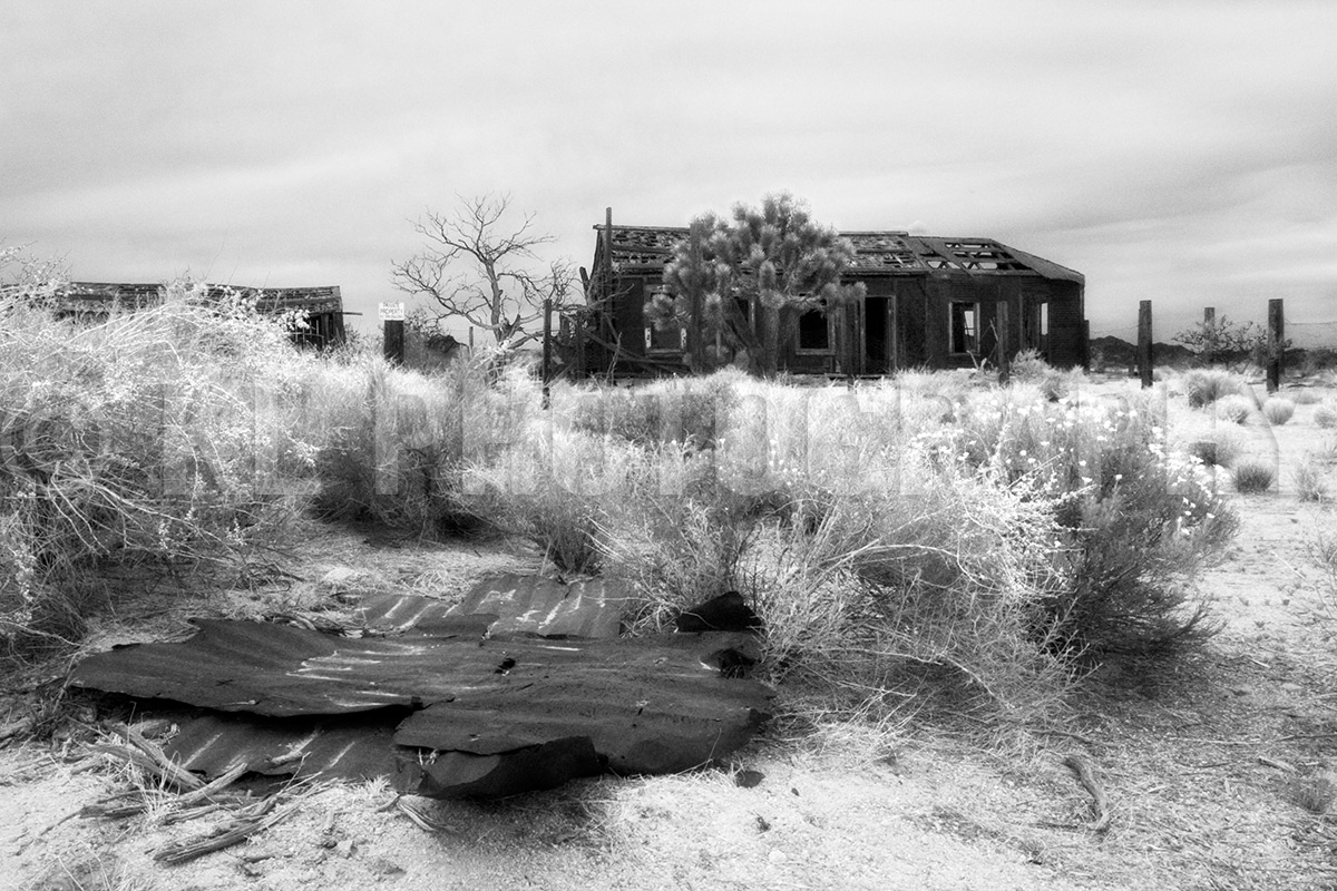 Old Abandoned Dwelling