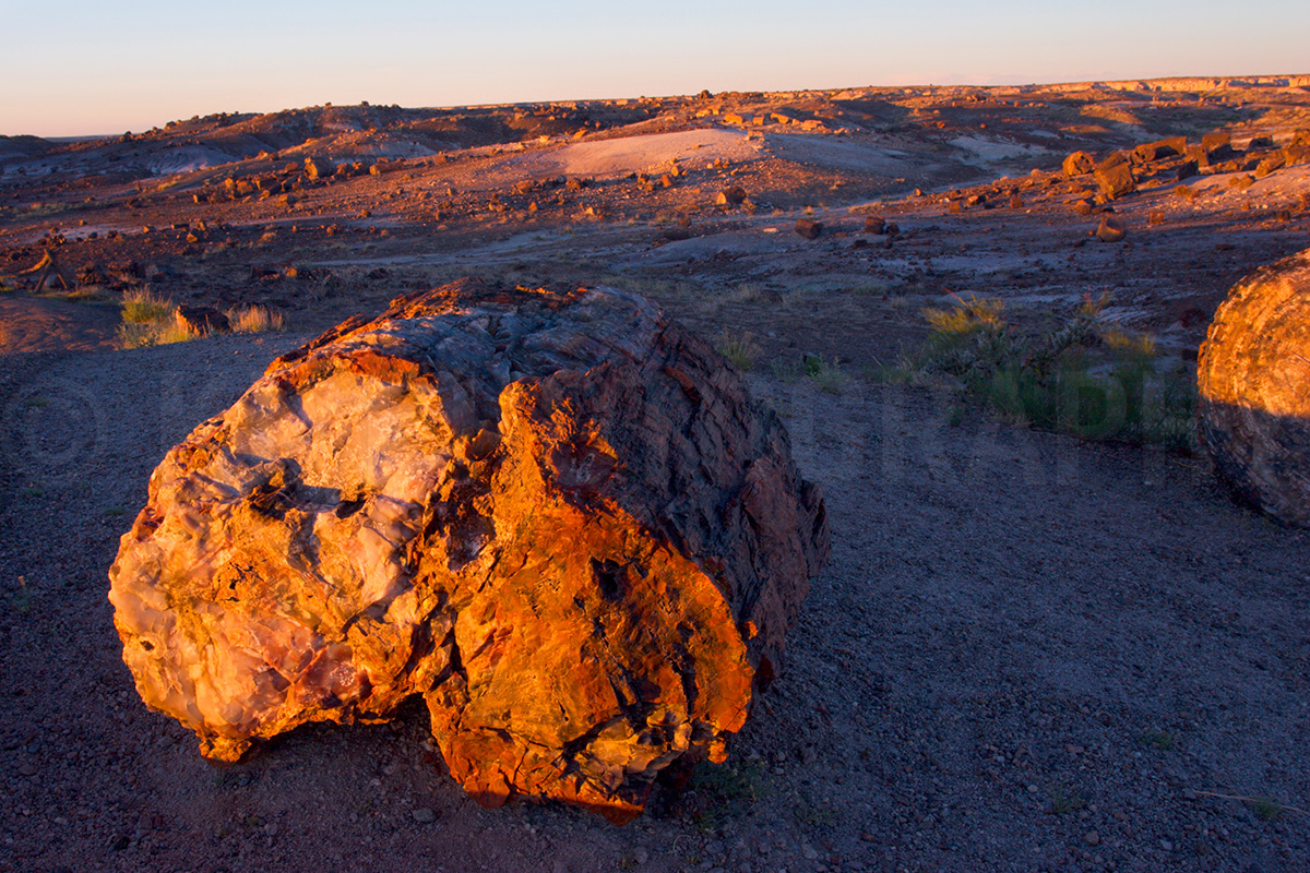 Petrified Log at Sunset