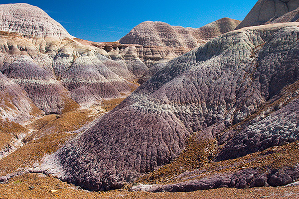 Blue Mesa
