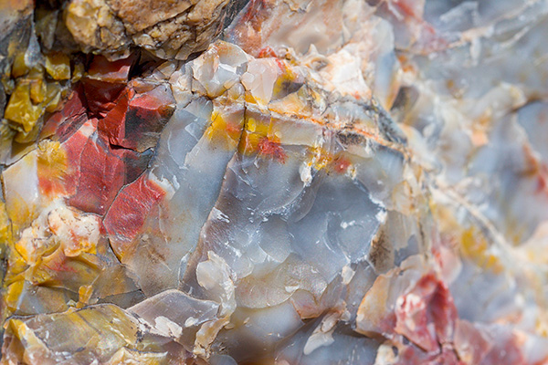 Petrified Wood Macro