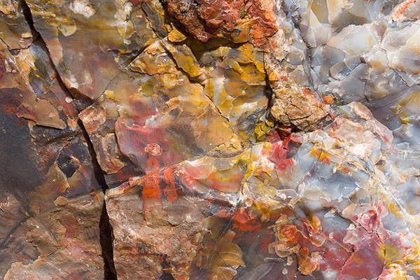 Petrified Wood Macro III