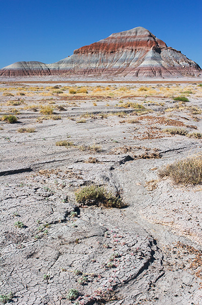 Painted Desert Tepees
