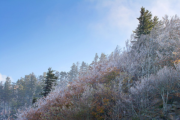 Frosty Hills