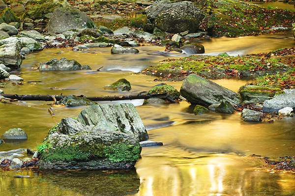 Golden River