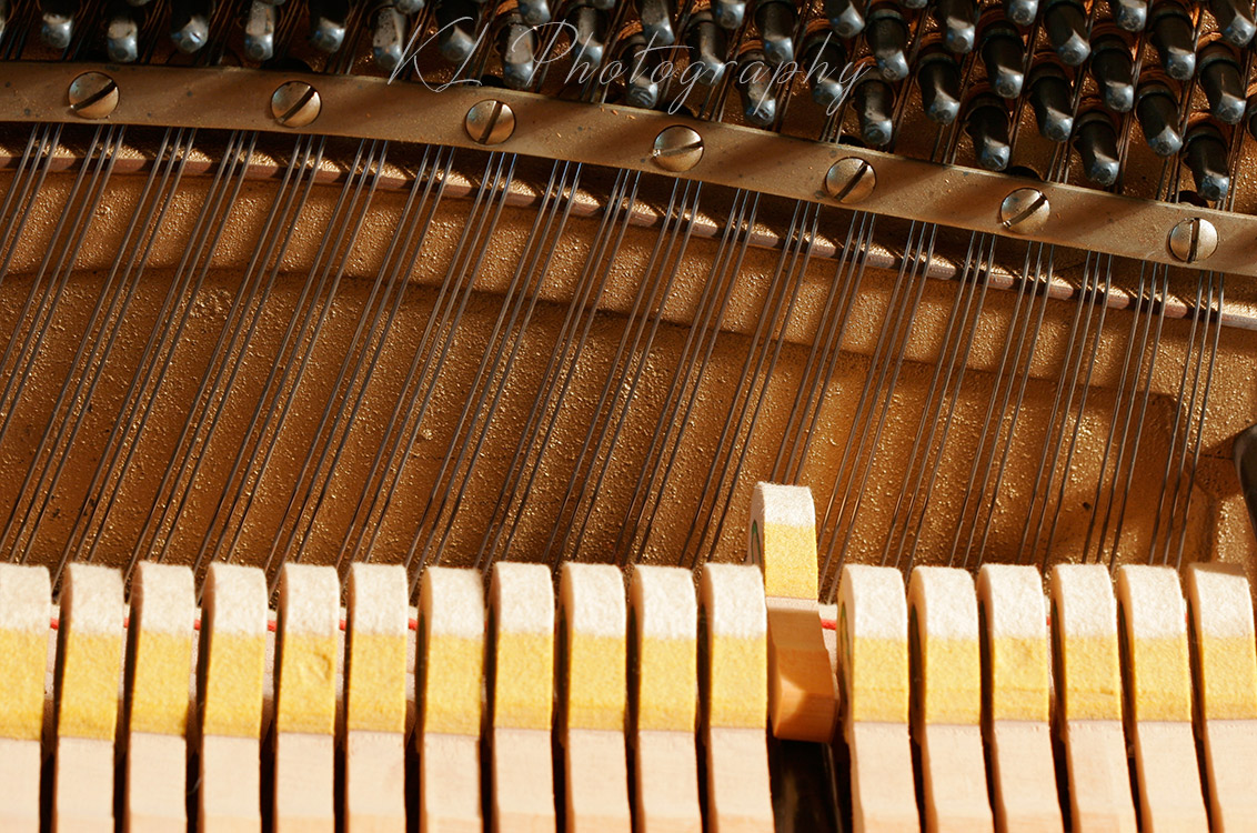 Piano - Hammers and Strings