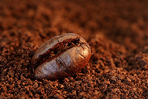 Coffee Bean Macro