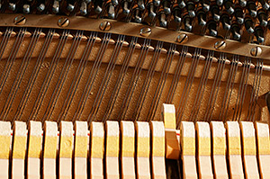 Piano - Hammers and Strings