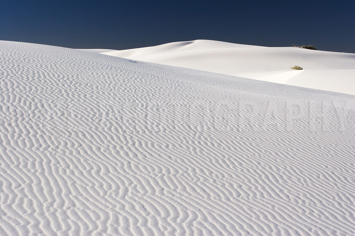 Chihuahuan Desert Sands