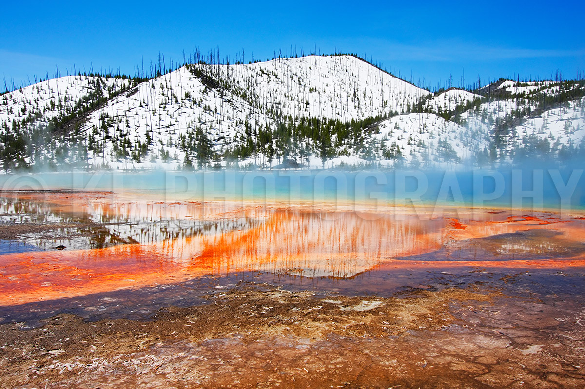 Grand Prismatic Reflections