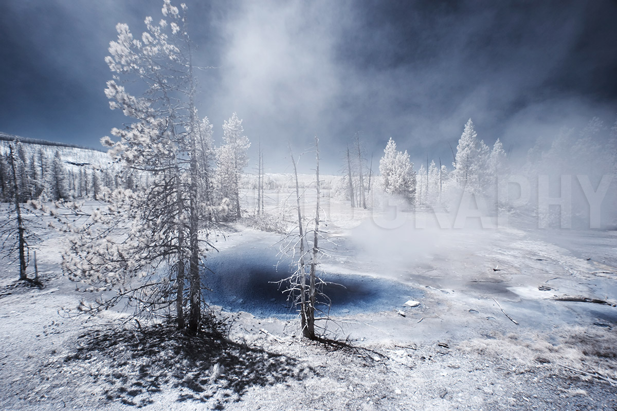 Norris Geyser Basin