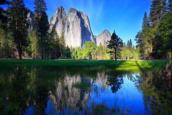 Still Reflections